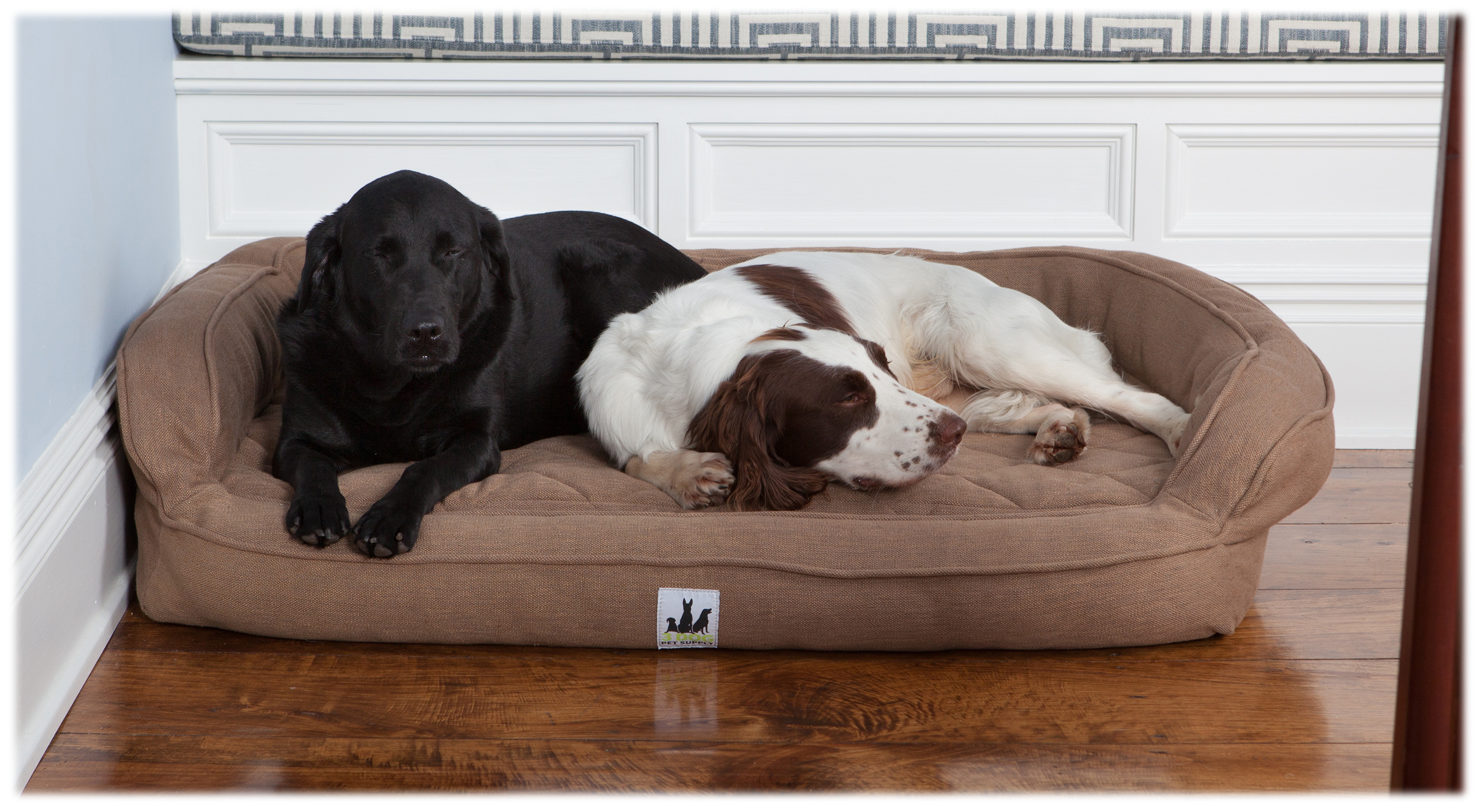 3 Dog Pet Supply EZ Wash Premium Headrest Dog Bed Cabela's